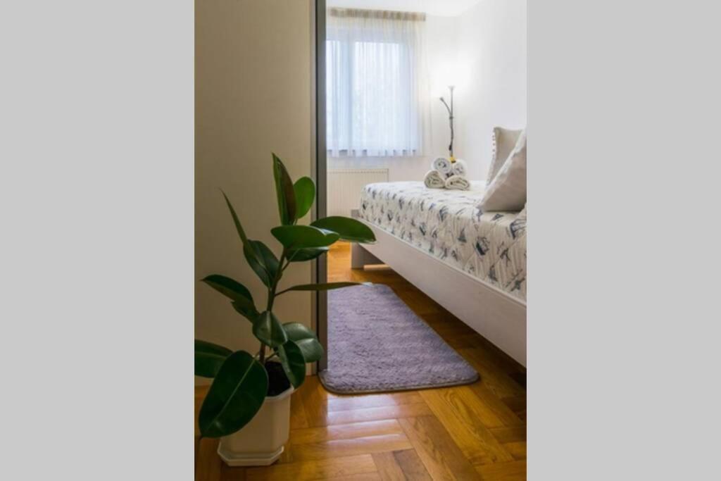Apartment Jarun Brac ザグレブ エクステリア 写真